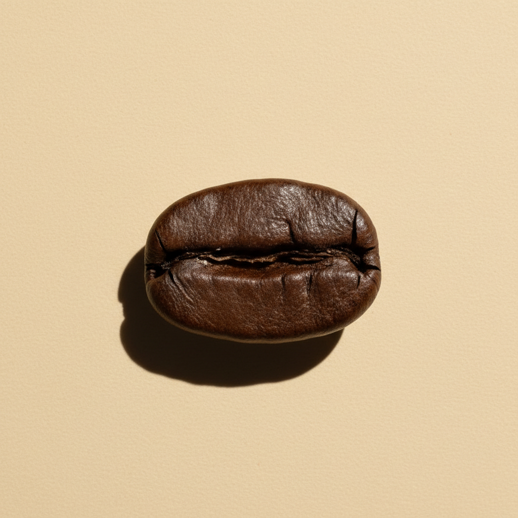 A single roasted coffee bean photographed on a warm beige paper backdrop